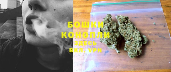 трава Нея