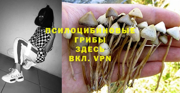 марки nbome Нефтегорск