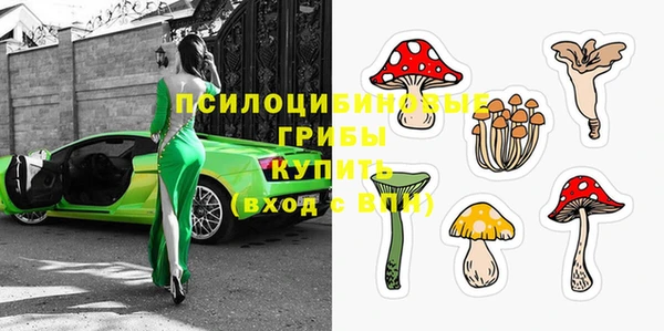 ешки Нефтекумск